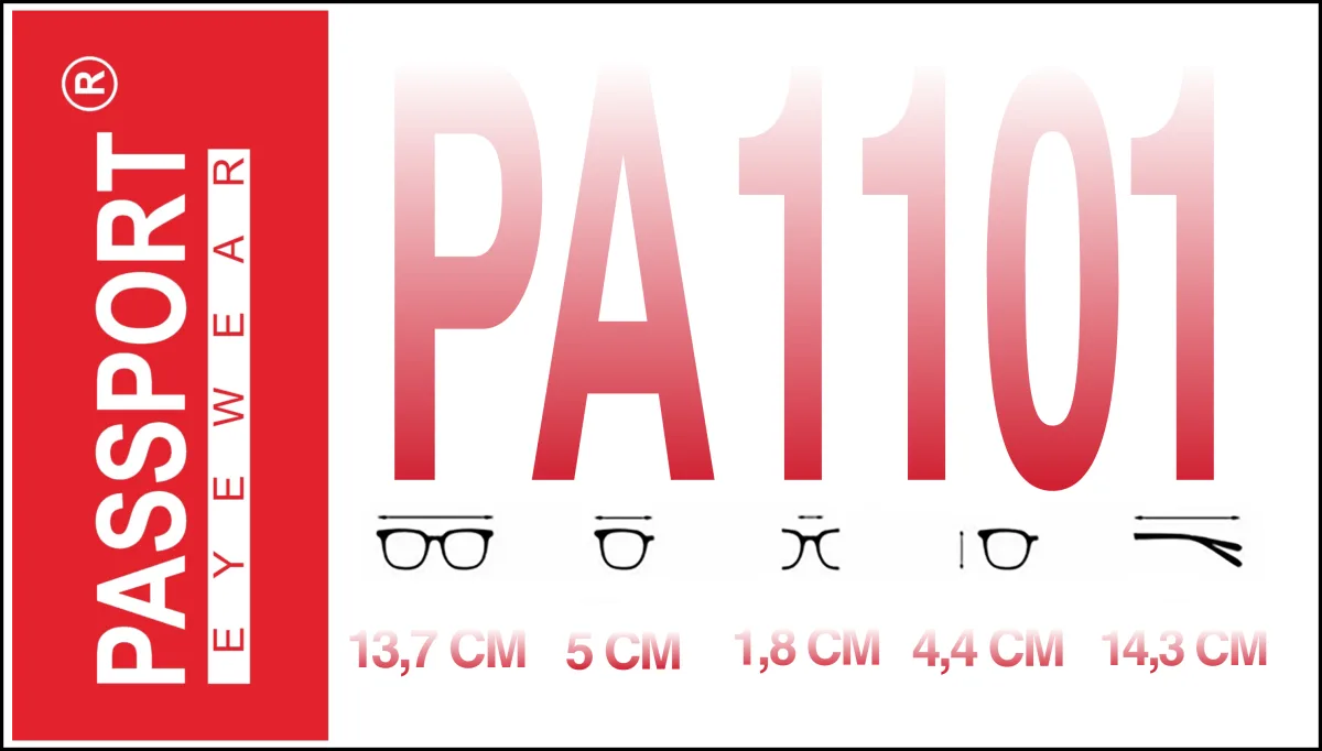 Passport PA1101