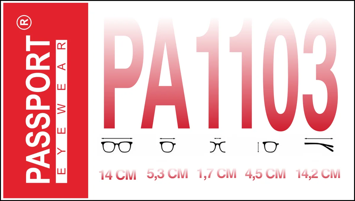Passport PA1103